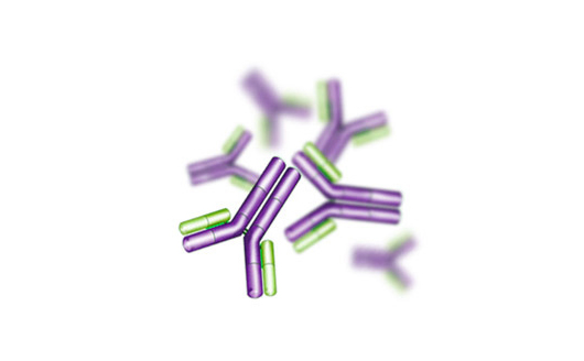 Poly-L-Lysine Solution(10×)多聚赖氨酸(10×防脱片剂)