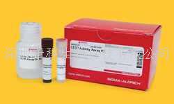 PhosphoDetect (TM) Serine Detection Kit，货号：525282-1KIT